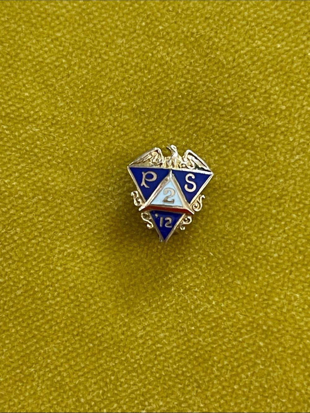 vintage fraternal organization lapel pin, likely from a school or group